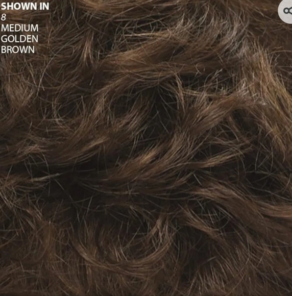 🧿 NIB PAULA YOUNG WIG - Picture 3 of 13